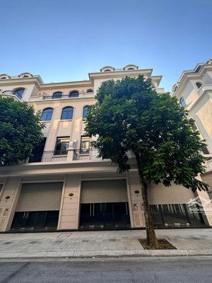 bán shophouse sao biển mặt tiền cực thoáng giá tốt nhất phân khu sao biển tại vinhomes ocean park 2