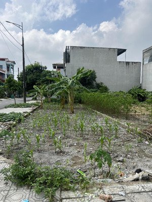 50 x 93m² góc đẹp, kd ở tiện lợi nhất. chính chủ bán nhanh, liên hệ gấp để được tư vấn