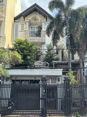 nhả biệt thự mini p. tân quy q7 (tân hưng mới) tp. hcm