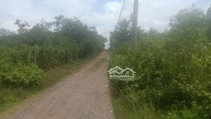 23hec tại dầu tiếng, bình dương có 3 mặt tiền đường giá 500k/m2