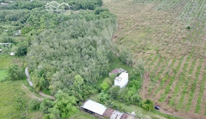 hơn 1,45ha đất xã định an dầu tiếng, 200m2 thổ cư, 1 nhà yến, 1 nhà cấp 4, 700 cây cao su. 5,6 tỷ