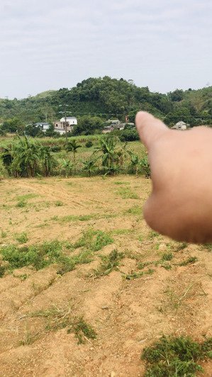 chủ cần tiền gửi bán lô đất tại thu phong, cao phong, hoà bình cũ