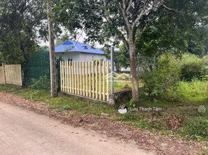 em ra mắt hàng siêu phẩm vuông vắn phân lô quá đẹp tại xã hợp hòa - lương sơn.giá loanh quanh 3tr/m