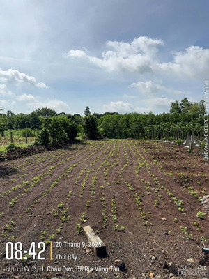 bán 1000m2 đất láng lớn mặt tiền đường nhựa giá chỉ 1 tỷ 6