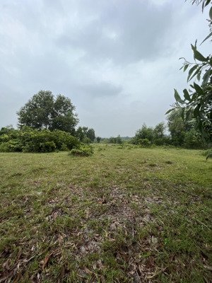 bán gấp 500m² đất long sơn quy hoạch lên thổ cư 2030 đường đất vào tận nơi giá chỉ 7xx triệu