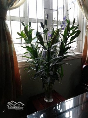 cần bán căn góc 304, tầng 3 nhà a2, tập thể xây lắp 24, ngõ 68 quan nhân, thanh xuân, hà nội