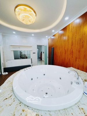 biệt thự châu á kiến trúc châu âu hẻm thông tứ tung sang khu đ. số phố ẩm thực vĩnh khánh sd 500m2