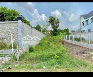 bán đất mặt tiền đường nhựa cây trôm mỹ khánh, xã thái mỹ. dt 105m2, sổ hồng riêng