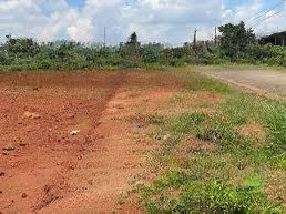 cần cho thuê mặt bằng nhà xưởng đẹp, số 16 đào trí, p. phú thuận (q7 cũ) - giá 3,5 tỷ có vat