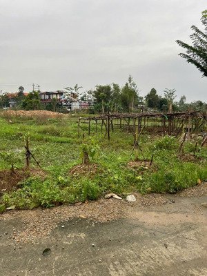 siêu phẩm hàng hiếm đất phú vang huế -133,7 m2 giá rẻ chỉ với 1 tỷ 650