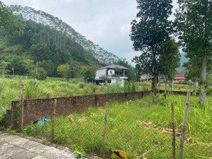 yên lập, yên lập, phú thọ, giá 7 triệu / m2, diện tích 197.3 m2, bán đất