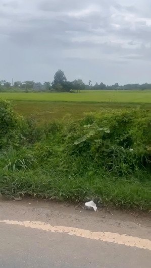 chính chủ bán gấp 108.237m² đất đẹp giá chỉ 1,7 triệu/m² - liền kề củ chi (tp. hcm)