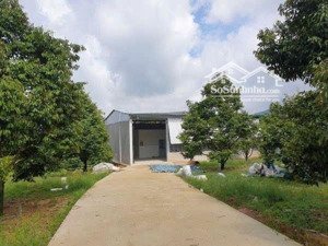 chỉ 253 triệu sang tên ngay đất vườn 1500m2