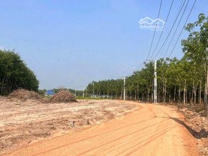 bán gấp đất dt 510m2 (10x51m) tại đt 757, thanh an, hớn quản, bình phước, giá 460 triệu, sổ sẵn