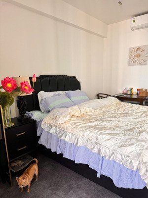 cho thuê sunrise riverside 35m2 đủ đồ 10 triệu 