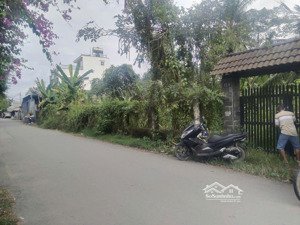 cho thuê đất mặt tiền nhị bình 18 hocmôn guá rẻ chỉ 12,5 nghìn/m2 - mặt tiền 2000m2 40x50.