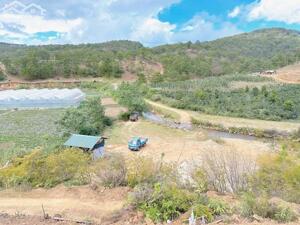 Cần tìm chủ mới cho lô đất phân lô giá rẻ tại Lâm Hà Lâm Đồng