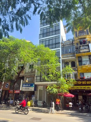 bán nhà mặt phố trần quốc hoàn, cầu giấy, 6 tầng 1 hầm, mt 4m, dt 44m, vị trí đẳng cấp, vỉa hè 11m.