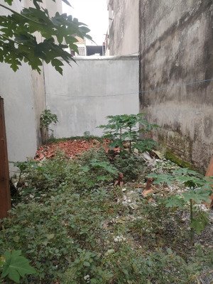 đất phân lô ô tô tránh 44m² chủ cần bán nhanh, giá chào 8,5 tỷ sát hv cảnh sát & đh mỏ khu b