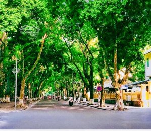 trái tim biệt thự pháp cổ-h,iế,m-đẳng cấp-gần ô tô-dòng tiền ổn định-homestay siêu hút khách-an