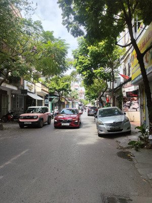 bán nhà mặt phố kinh doanh hoa lâm dt 100m2 mt 4.1m 21.35tỷ kinh doanh sầm uất bậc nhất long biên