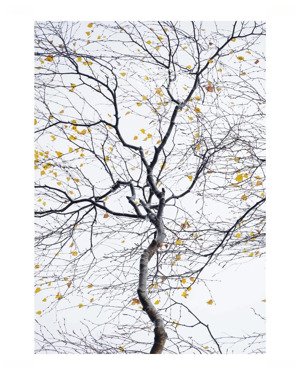 bán 328m² đất odt đường tân hòa đông - quận 6 hcm. giá 28 tỷ tl