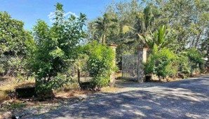 cần bán gấp vườn bưởi, hơn 1000m2 , chỉ 210tr đồng.