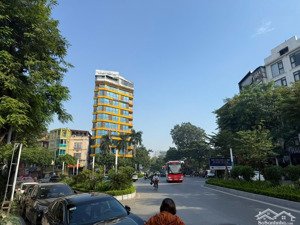 bán nhà cấp 4 mặt phố lạc long quân, 180m², mt 11m, rất hiếm, nhỉnh 139 tỷ