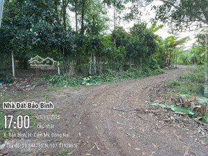 bán đất tại xã bảo bình, cẩm mỹ, đồng nai, 3148m2, view đẹp