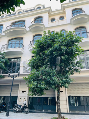 rẻ nhất pk sao biển - vinhomes ocp2 , sẵn sổ đỏ giao dịch, gần tttm vincom