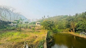 chính chủ bán lô đất thổ cư tại trung tâm xã đà bắc