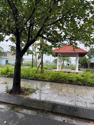 bán đất đường cổ mân cúc 4 view công viên siêu đẹp - hướng bắc, 100m2 - đường 5m5 lề 3m, 4.35 tỷ