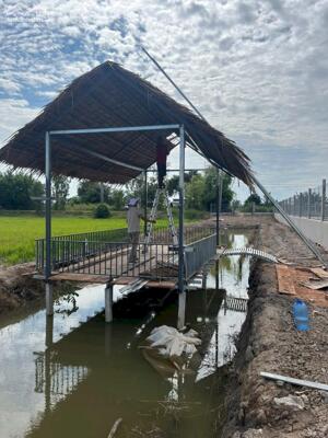  Bán Đất Lộ Nhựa Tây An Bờ Hồ, Mỹ Thới - Gần Đức Thành 3