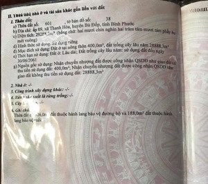 bán đất tại thanh hoà, bù đốp, bình phước, 16,5 tỷ, 29288 m2