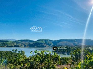 chị gái cần bán gấp 1.005m² đất vườn nghỉ dưỡng gần hồ trị an giá 850 triệu trọn sổ