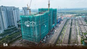 giỏ chuyển nhượng orchard hill, orchard heights dự án sycamore thành phố mới bình dương
