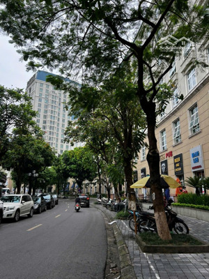 bán căn liền kề tt1 mỹ đình sông đà, mỹ đình nam từ liêm