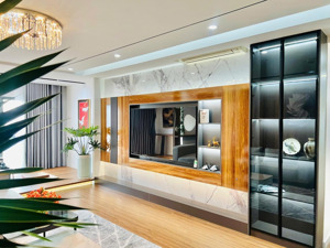 không báo ảo. căn 120m giá 9.1 tỷ, căn 123m giá 8.8 tỷ, căn 133m giá 10.5 tỷ, căn 172m giá 13.5 tỷ