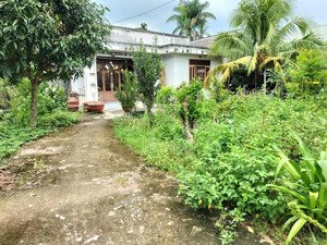 tôi và vợ cần bán nhà tiền đường nguyễn văn khạ, củ chi, hcm. 1010m²