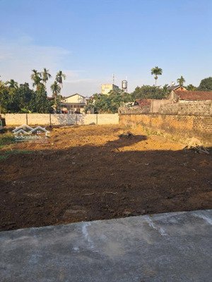 đất tản lĩnh full thổ cư sẵn sổ sang tên đường thoáng rộng cách tl87 ub xã tầm 800m tiện ích đầy đủ