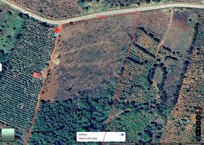 chính chủ bán đất rẫy macca quảng trực, tuy đức