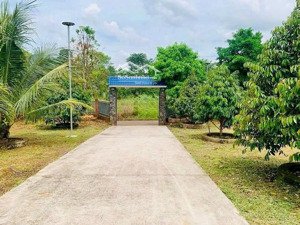 chính chủ cần bán lô đất vườn sầu riêng đang cho thu hoạch ngay nha bích, chơn thành, bình phước