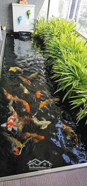 siêu biệt thự trên không penthouse kiêm duplex đẳng cấp kđt mỹ đình 500m2 giá 33tỷ lh hà 