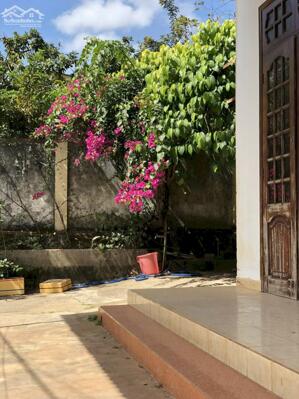  BÁN ĐẤT TẶNG NHÀ HẺM ĐẶNG NGUYÊN CẨN - GẦN NGÃ SÁU BMT