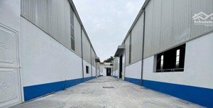 cho thuê kho xưởng kv: 9.000m2, xưởng: 8.000m2, trong kcn đức hòa, long an, pccc tự động