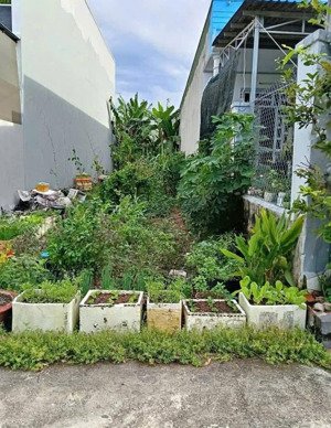 chủ cần tiền bán lô đất 109m2 giá 1 tỷ đ.bàu tre gần bệnh viện đa khoa củ chi và kcn tây bắc, shr