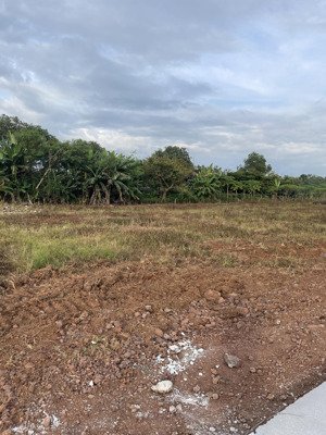 bán đất nền chính chủ mặt tiền dài 14m