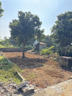 cần tiền em bán gấp mảnh 100m2, giá 1 tỷ 6