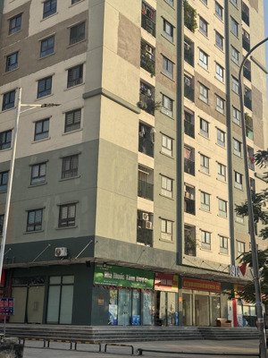 mặt bằng thương mại hiếm, căn góc đẹp nhất toà 19t đang kinh doanh cực tốt