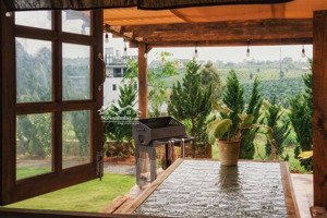 vòng vốn không kịp hồi chiêu đành bán lỗ sâu miếng 1100m2, chỉ 766 tr